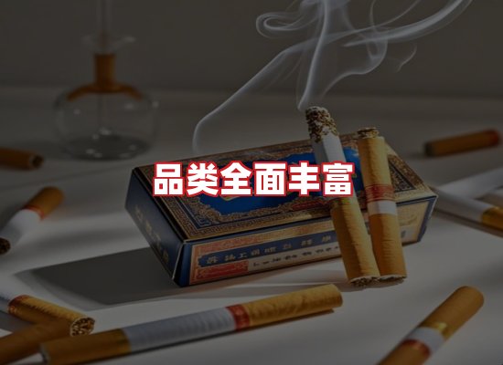 专业团队